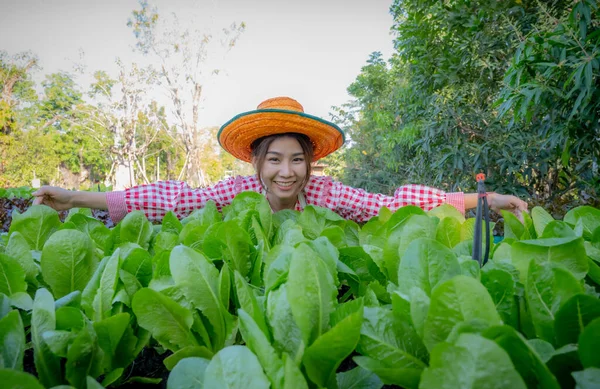 Indah Perempuan Asia Petani Merangkul Sayuran Organik Konsep Farmimg — Stok Foto