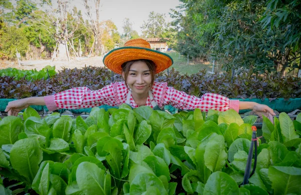 Hermosa Asiática Agricultoras Abrazan Verduras Orgánicas Con Emoción Huerta Orgánica —  Fotos de Stock