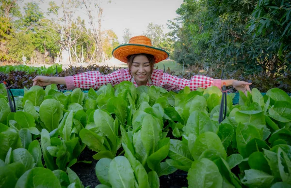 Petani Wanita Asia Yang Cantik Merangkul Sayuran Organik Dengan Kegembiraan — Stok Foto