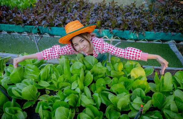 Petani Wanita Asia Yang Cantik Merangkul Sayuran Organik Sambil Melihat — Stok Foto