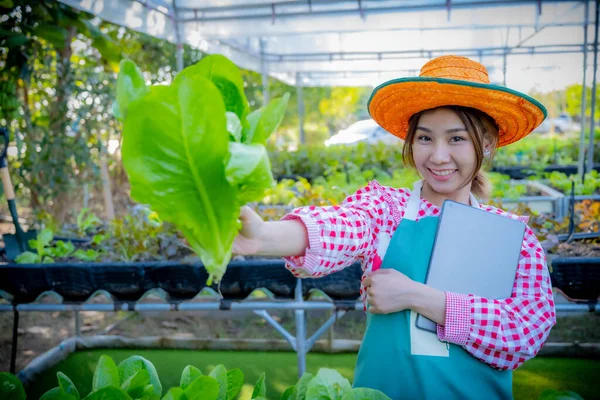 Hermosa Hembra Asiática Agricultora Mostrando Verduras Mientras Sostiene Una Tableta —  Fotos de Stock