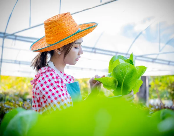 Gambaran Vertikal Wanita Asia Yang Cantik Petani Memeriksa Kualitas Dengan — Stok Foto