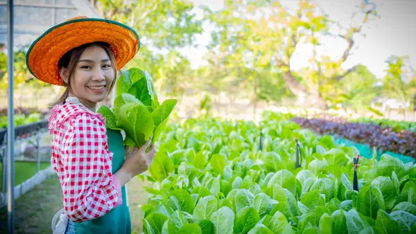 Gadis Petani Asia Indah Memegang Sayuran Dengan Kebun Sayur Sayuran — Stok Foto