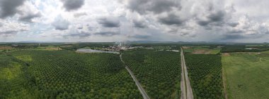 Arka planda dağlarda güzel bir ormanın panoramik manzarası ve bir fabrika var..