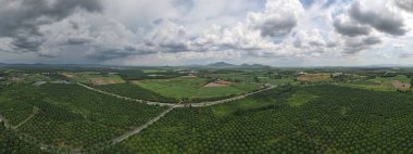 Kırsalda gri bulutlu güzel bir ormanın panoramik manzarası.