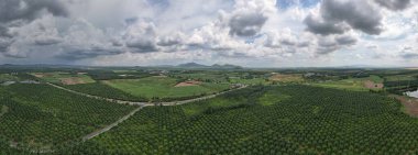 Kırsal kesimde güzel bir ormanın panoramik manzarası. Arkasında gri bulutlar ve dağlar var..