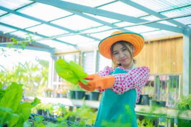 Önlük ve hasır şapka takan güzel Asyalı çiftçi elinde organik sebzeler ve solda yüzünde gülümsemeyle duruyordu, Smart çiftliği..