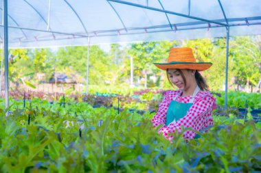 Güzel Asyalı çiftçi kız organik sebze bahçesinde duruyor. Etrafı taze ürünlerle çevrili. Smart çiftliği..