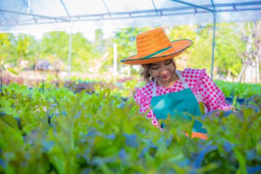 Güzel Asyalı çiftçi organik sebze bahçesinde dikilirken yüzünde kocaman bir gülümseme vardı..