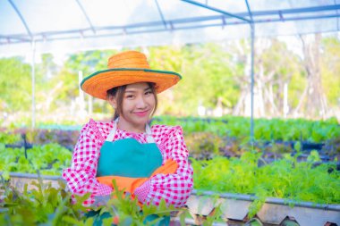 Güzel Asyalı çiftçi, organik sebze bahçesinde, Smart çiftliğinde kollarını kavuşturarak ayakta duruyor..