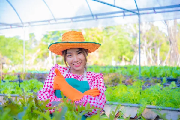 Bonito Asiático Agricultor Stand Com Braços Cruzados Orgulhosamente Com Sorriso — Fotografia de Stock
