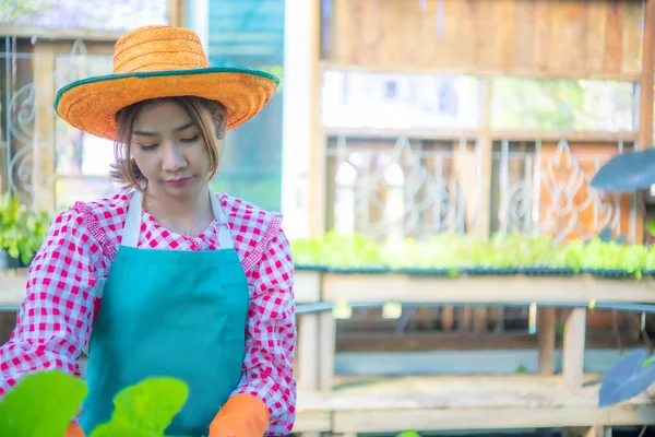 Beautiful Asian Farmer Puts Lot Love Care Growing Her Organic — Stock Photo, Image