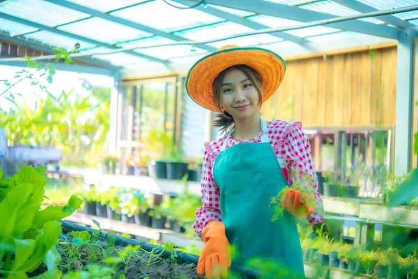 Beautiful Asian Farmer Growing Organic Vegetables Happy Smile While Looking — Stock Photo, Image
