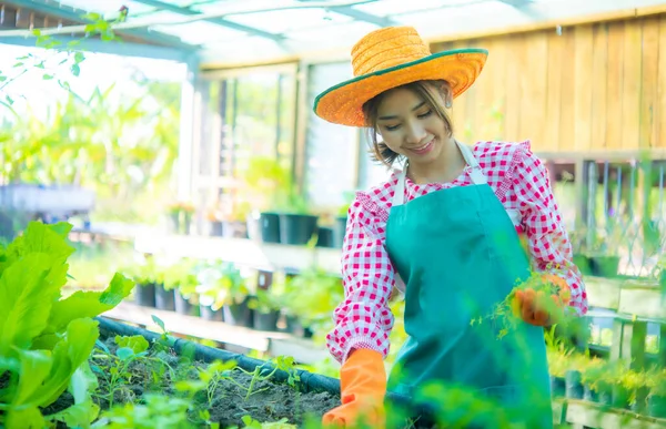 Beautiful Asian Farmer Uses Natural Organic Methods Keep Pests Disease — Stock Photo, Image