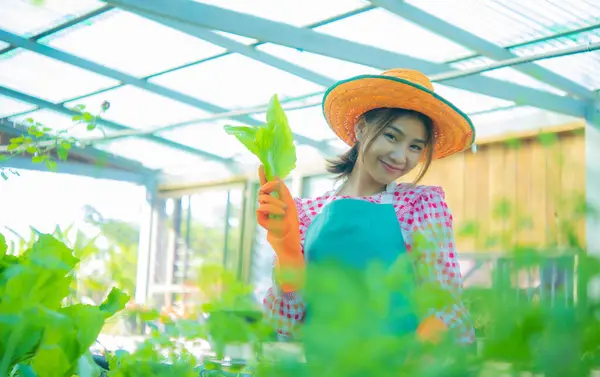 Indah Petani Asia Mengenakan Topi Jerami Dan Celemek Memegang Sayuran — Stok Foto