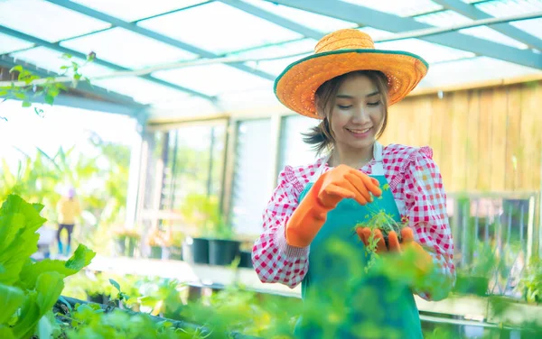 Beautiful Asian Farmer Dedicated Growing Organic Vegetables Smart Farm — Stock Photo, Image