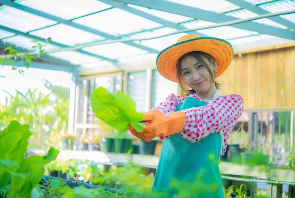 Beautiful Asian Farmer Standing Holding Organic Vegetables Lodge Left Smile — Stock Photo, Image