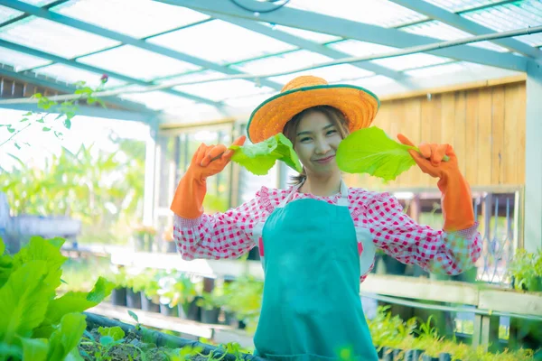 Petani Asia Yang Cantik Berdiri Memegang Dan Menyimpan Sayuran Organik — Stok Foto