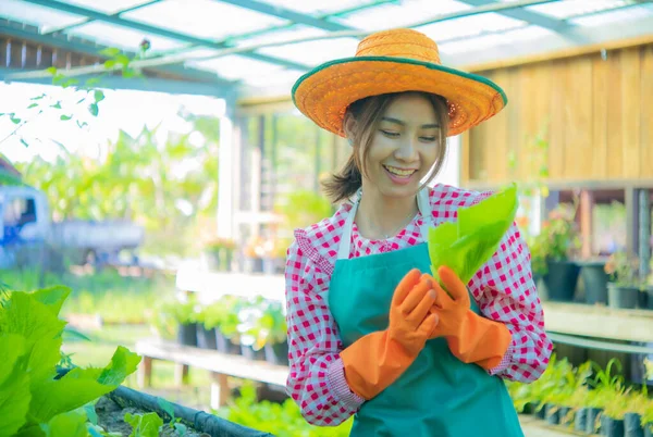 Smile Her Face Sense Fulfillment Her Heart Beautiful Asian Farmer — Stock Photo, Image