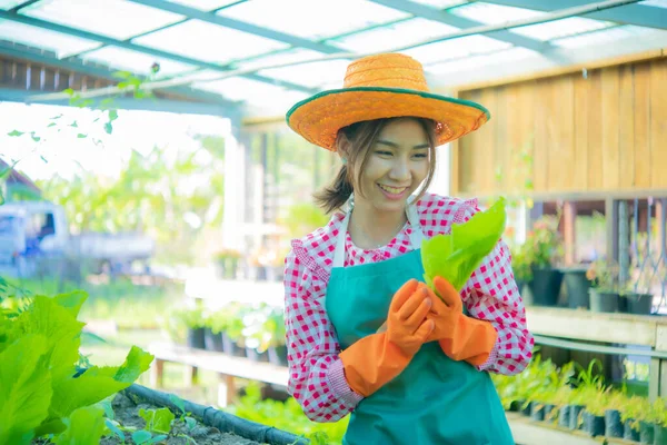 Beautiful Asian Farmer Takes Closer Look Each Organic Vegetables She — Stock Photo, Image