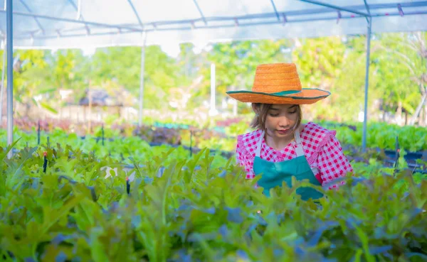 Dengan Masing Masing Sayuran Memanen Petani Asia Merasakan Rasa Bangga — Stok Foto