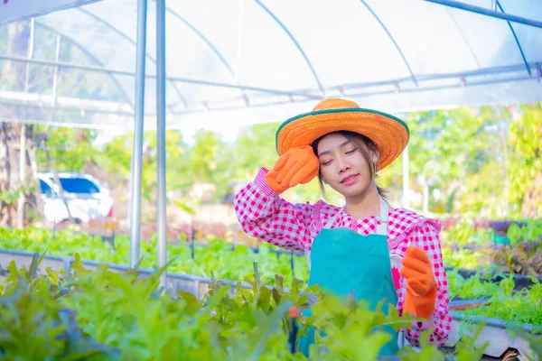 Petani Asia Yang Cantik Berdiri Setelah Panen Kebun Sayur Organik — Stok Foto