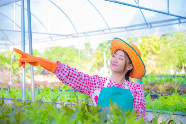 Dengan Senyum Wajahnya Petani Asia Memberi Isyarat Kepada Sayuran Organik — Stok Foto