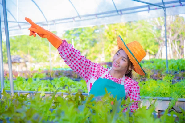 Hermosa Asiático Agricultor Estaba Señalando Dedo Exuberante Jardín Lleno Vibrantes —  Fotos de Stock