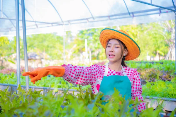 Petani Asia Yang Cantik Dengan Gembira Menunjukkan Kebun Sayuran Organiknya — Stok Foto