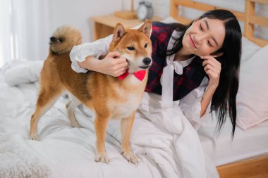 Güzel Asyalı kadın yatak odasında beyaz yatakta oturmuş eğlenceli bir şekilde köpekle oynuyor..