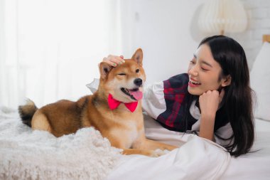 Güzel Asyalı kız, mutlu bir ifadeyle köpeğe dokunurken beyaz yatakta uzanıyor..