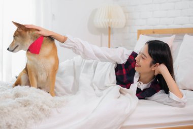Güzel Asyalı kız Shiba 'yı okşamak için elini kullanarak yatak odasında uzanıyor..