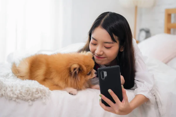 stock image Pretty asian girl holding a phone playing with a dog on the white bed in her room.