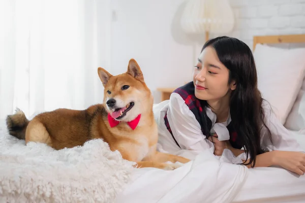 Güzel Asyalı Kız Gülümseyerek Köpeğe Bakarken Yatak Odasında Beyaz Bir — Stok fotoğraf