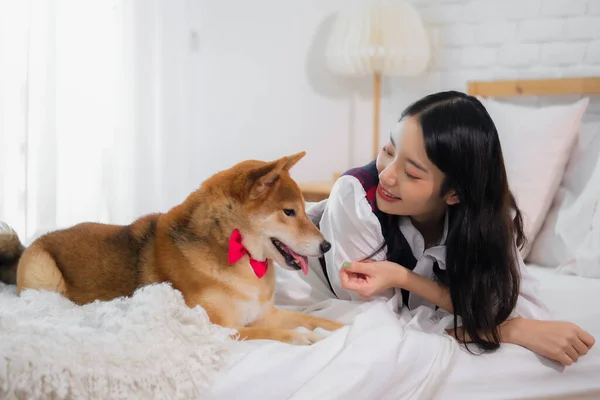 Güzel Asyalı Kız Yüzünde Gülümseme Olan Köpeğe Bakarken Yatak Odasında — Stok fotoğraf