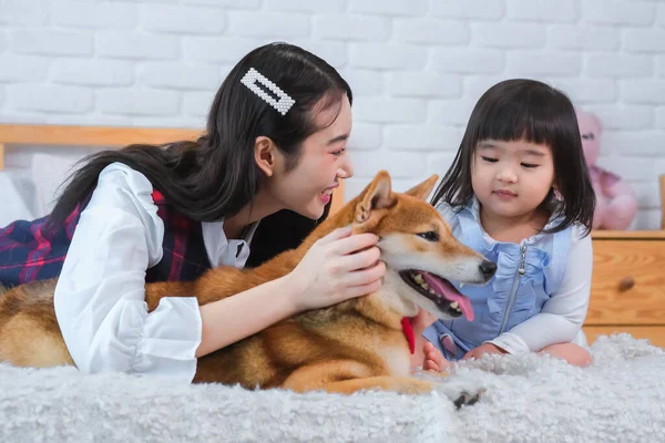 Dog Seems Love Attention Getting Enjoying Every Moment Playtime Beautiful — Stock Photo, Image