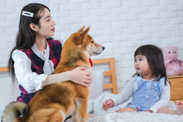 Mooie Aziatische Vrouw Hond Zoek Naar Kopieerruimte Het Schattige Kleine — Stockfoto