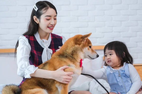 美丽的亚洲女孩搂着狗 一个小女孩伸出手 摸着卧室床上的狗 — 图库照片