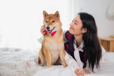 Güzel Asyalı kadın Shiba Inu köpeğiyle dalga geçerken kıkırdadı..