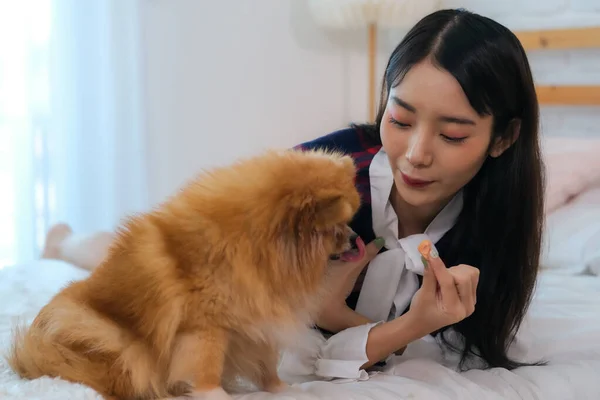 Beautiful asian woman playing with fluffy dog having fun on bed in bedroom.