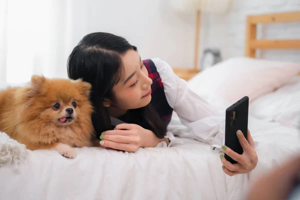 stock image Beautiful asian woman holding a phone trying to take a picture with her furry dog on the bed in the bedroom.