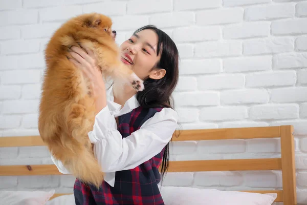 Schöne Asiatische Frau Hält Und Sieht Pelzigen Hund Mit Spielerischem — Stockfoto