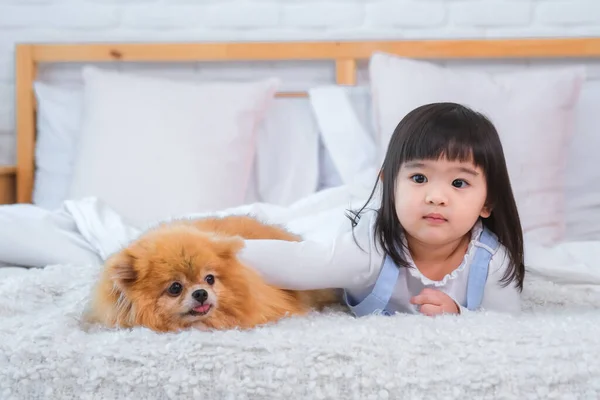 Fluffy Dog Snuggled Closer Her Content Rest His Little Owner — Stock Photo, Image
