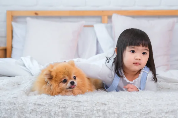 Het Kleine Meisje Haar Hond Leken Hun Eigen Kleine Wereld — Stockfoto