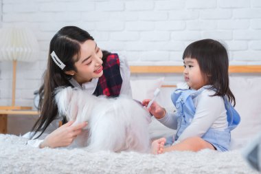 İki sahibi yatak odasındaki beyaz köpeği fırçalamak üzereler..