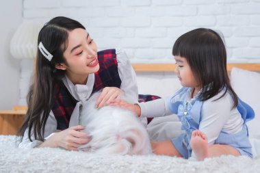 Sahipleri, yatakta küçük beyaz köpeğe sarılırken mutluluktan uçuyorlardı..