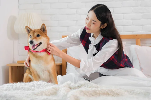 Eliyle Güzel Asyalı Kız Shiba Köpeğini Yatak Odasında Şefkatle Okşuyor — Stok fotoğraf