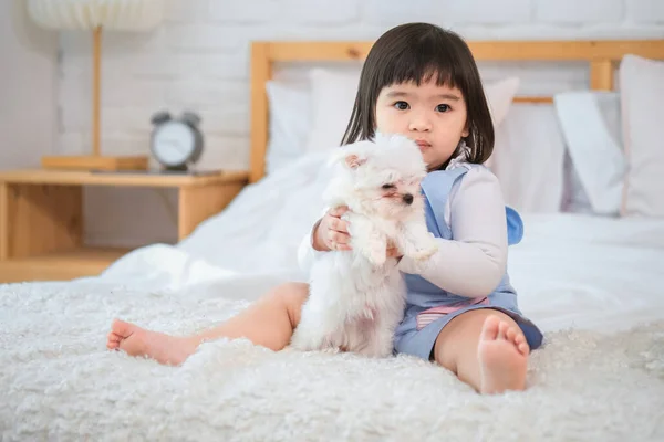 Menina Está Carinhosamente Segurando Cão Branco Bonito Cama Quarto — Fotografia de Stock