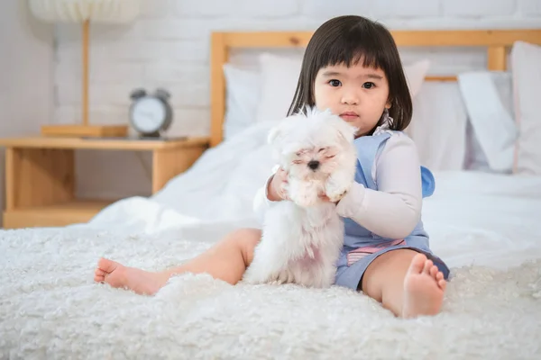Little Girl Cuddles Adorable White Dog Her Arms Bed Bedroom — Stock Photo, Image
