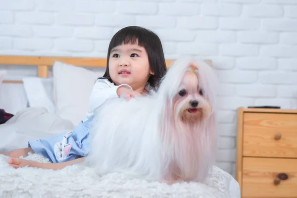 Κοριτσάκι Που Κοιτά Στο Πλάι Και Άσπρο Σκυλί Στο Κρεβάτι — Φωτογραφία Αρχείου